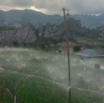 Gunakan Listrik PLN, Petani Bawang Merah di Enrekang Hemat Biaya Hingga 75 Persen