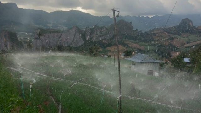 Aktivitas pertanian bawang di Kabupaten Enrekang, Sulsel. (Istimewa)