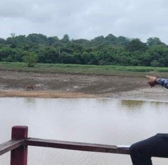 DPRD Kotim Minta Pemerintah Bantu Usaha Masyarakat di Bidang Peternakan