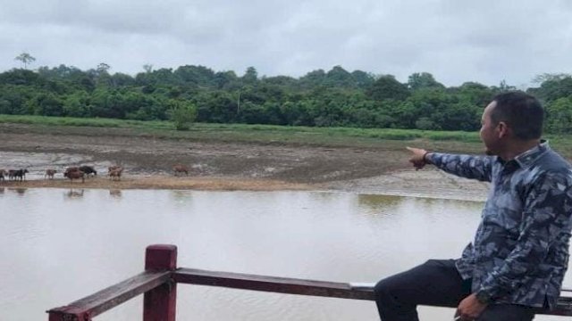 Sekretaris Komisi II DPRD Kotawaringin Timur, Syahbana, saat melihat peternakan milik warga. (Istimewa)