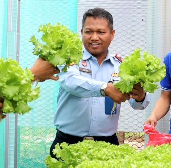 Warga Binaan Lapas Bulukumba Panen Sayur Selada Hasil Budidaya Hidroponik