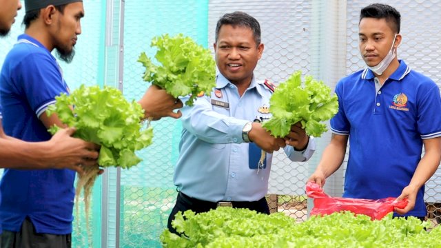 Lapas Bulukumba mengagas program pembinaan kepada warga binaan melalui budidaya hidroponik yang saat ini telah dirasakan manfaatnya melalui panen perdana. (Dok. Humas Kanwil Kemenkumham Sulsel)