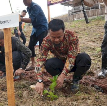 Kembalikan Kejayaan Sutera, Gubernur Andi Sudirman Kembali Tanam 1 Juta Bibit Murbei di Wajo