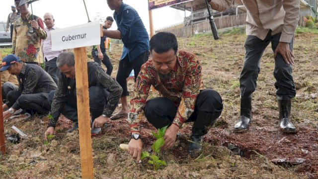 Gubernur Sulsel Andi Sudirman Sulaiman, saat melakukan penanaman bibit Murbei secara simbolis di Desa Ujung, Kabupaten Wajo, Kamis (04/05/2023). (Istimewa)