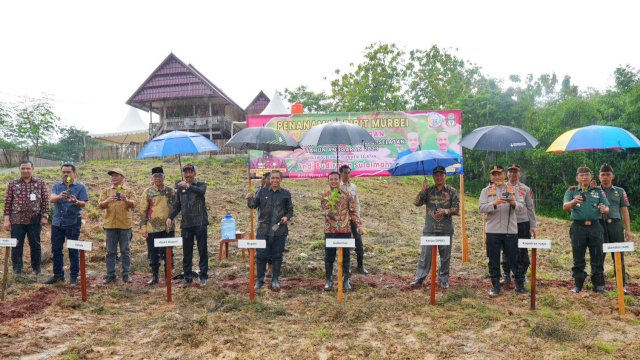 Penanaman Pohon Murbei dilakukan oleh Gubernur Sulsel Andi Sudirman Sulaiman bersama Bupati dan Wakil Bupati Wajo. (Istimewa)