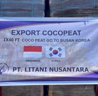 Dari Majene, UMKM Rumah BUMN PLN Tembus Pasar Korea dan Tiongkok