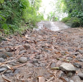 Masih Ada Jalan di Sinjai yang Tak Pernah Tersentuh Aspal