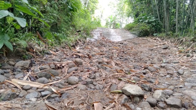 Kondisi Jalan di Dusun Mangasa, Desa Lamatti Riaja, Kecamatan Bulupoddo, Kabupaten Sinjai, yang belum tersentuh Aspal. (Istimewa)