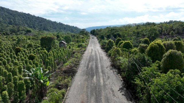 Ruas Jalan Ussu – Nuha – Beteleme Dikerjakan Sepanjang 3,7 KM, Gubernur Andi Sudirman: Hubungkan Sulsel – Sulteng