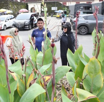 Tata Taman Kota, Fatmawati Rusdi Lakukan Peninjauan Langsung