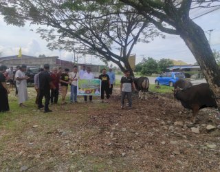 Kurban 7 Ekor Sapi di Luwu Utara, Anggota DPR RI Muhammad Fauzi Sampaikan Pesan Iduladha