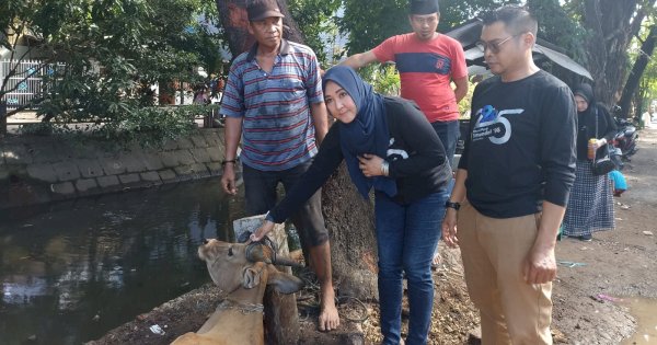 Ikatan Alumni 98 Smandel Makassar Berbagi Kurban di Perayaan Idul Adha 2023