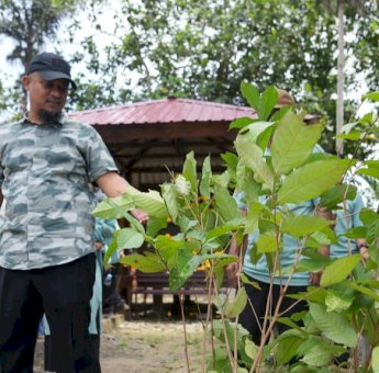 Gubernur Sulsel Tanam 500 Pohon Produktif di Bone