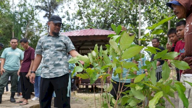 Gubernur Sulsel Tanam 500 Pohon Produktif di Bone