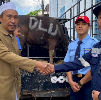 Iduladha, PT Dharma Lautan Utama Parepare Kurban Dua Ekor Sapi