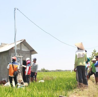 PLN Catat Kebutuhan Listrik di Sektor Pertanian dan Peternakan Modern Tumbuh Positif