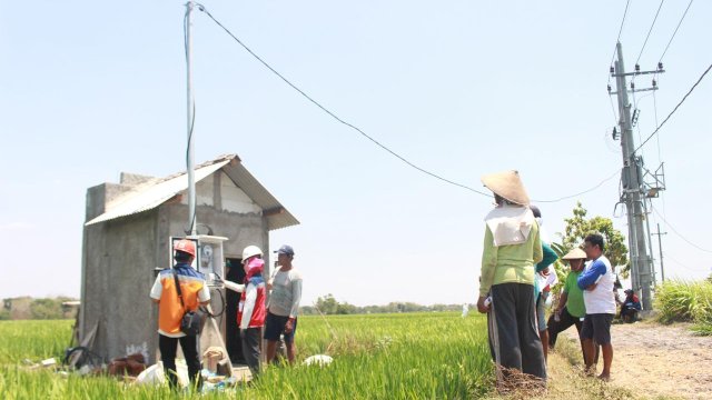 Penyalaan pasang baru listrik sumur pompa sawah di Madiun. Melalui penyalaan ini, petani yang sebelumnya menggunakan diesel untuk irigasi areal persawahan beralih ke listrik PLN. (Dok. Humas PLN UIP Sulawesi)