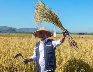 Pertanian Sulsel Berjaya di Era Pemerintahan Andi Sudirman Sulaiman