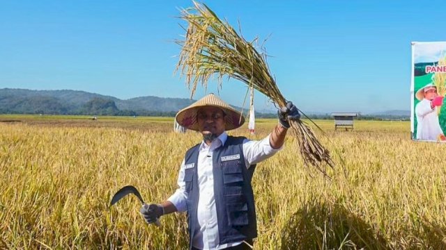 Gubernur Sulsel Andi Sudirman Sulaiman, panen padi dari program Mandiri Benih di Kabupaten Maros, Kamis (03/08/2023). (Istimewa)