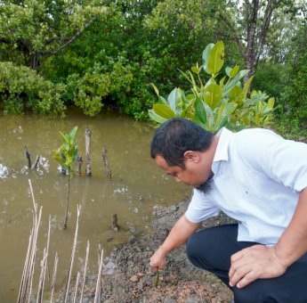 Di Kepulauan Riau, Gubernur Sulsel Kunjungi Hutan Mangrov dan Tanam Bibit