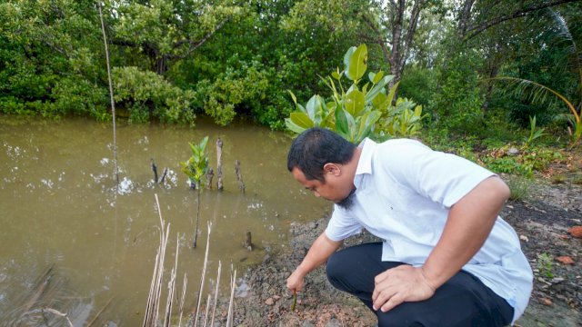 Di Kepulauan Riau, Gubernur Sulsel Kunjungi Hutan Mangrov dan Tanam Bibit