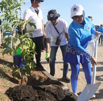 Tambah Luasan RTH Makassar, 150 Pohon Tabebuya Bakal Ditanam pada Gelaran APEKSI 2023