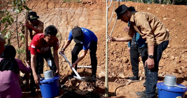 Wali Kota Danny Pomanto-Bima Arya dan Ratusan Delegasi YCC Apeksi Tanam Pohon Tabebuya