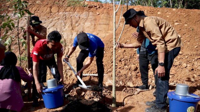 Aksi penanaman puluhan pohon Tabebuya oleh delegasi YCC APEKSI di Tokka Tena Rata, Maros, Selasa (11/7/2023). (Foto: Istimewa)