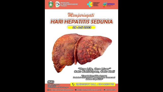 RS Andi Makkasau Parepare dan RS HAH Ajak Wujudkan Generasi Bebas Hepatitis