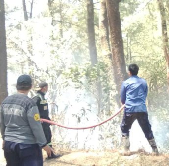 Pemkab Gowa Turunkan Tim, Gerak Cepat Padamkan Api di Hutan Malino