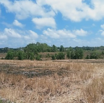 39 Desa di Sinjai Krisis Air Bersih