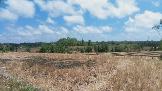 Kondisi Dampak Kemarau di Daerah Sinjai Timur yang Berdampak Krisis Air Bersih. (ist)