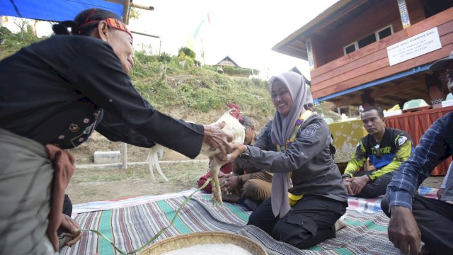 Bupati Luwu Utara Indah Putri Indriani disambut adat Massolo oleh Tobara Pohoneang dan masyarakat adat saat tiba di Dusun Longa Desa Embonatana Seko Tengah beberapa waktu yang lalu.
