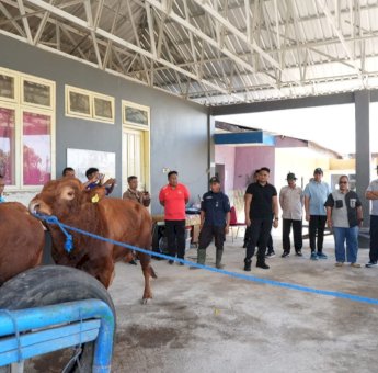 Kunjungan ke Pucak Maros, Pj Gubernur Bahtiar Dorong Inseminasi Buatan Tingkatkan Populasi Ternak