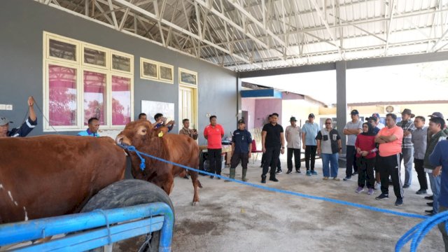 Kunjungan ke Pucak Maros, Pj Gubernur Bahtiar Dorong Inseminasi Buatan Tingkatkan Populasi Ternak