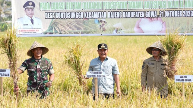 Pj Gubernur Sulsel Bahtiar Baharuddin, saat melakukan panen raya di Kabupaten Gowa, Sabtu (21/10/2023). (Istimewa)
