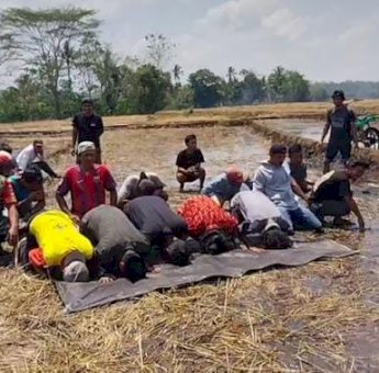 Setahun Menanti, Petani di Sinjai Sujud Syukur Sawahnya Kembali Basah