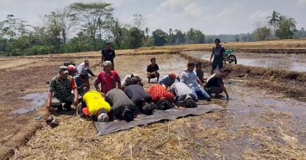 Setahun Menanti, Petani di Sinjai Sujud Syukur Sawahnya Kembali Basah