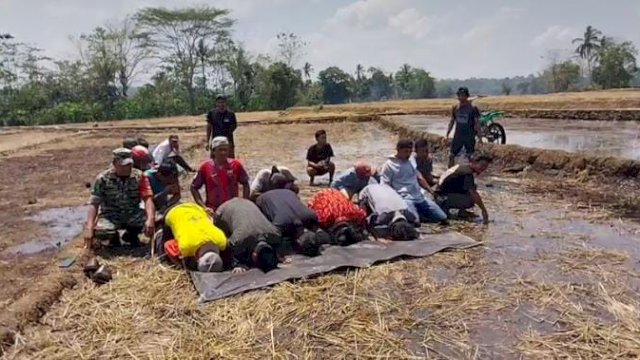 Petani saat melakukan aksi Sujud Syukur di tengah persawahan, di Lingkungan Caile, Kelurahan Sangiasserri, Kabupaten Sinjai. (Istimewa)