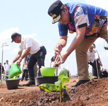 Pj Gubernur Sulsel Tanam Pisang di Lahan 20 Hektare di Sinjai