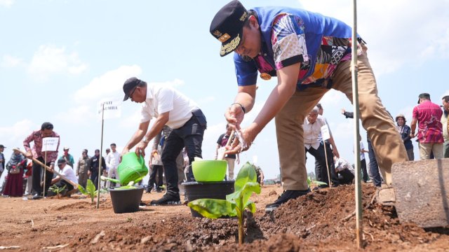 Pj Gubernur Sulsel Bahtiar Baharuddin, melakukan penanaman pisang di atas lahan seluas 20 hektare milik Bupati Bulukumba Andi Muchtar Ali Yusuf, di Kelurahan Mannanti, Kecamatan Tellu Limpoe, Kabupaten Sinjai, Jumat (27/10/2023). (Istimewa)