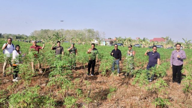 23 Hektar Lahan Percontohan Disiapkan Pemprov Sulsel untuk Budidaya Pisang dan Nanas di Pattallasang Gowa