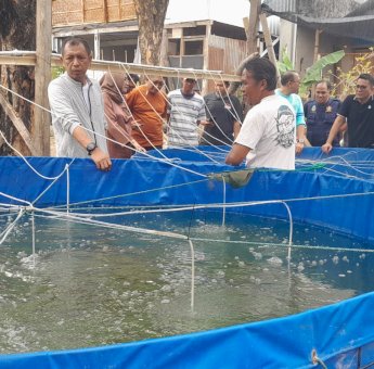 Kunjungi Pembudidaya Ikan, Pj Wali Kota Parepare Akbar Ali Apresiasi Kreativitas Warga Manfaatkan Lahan Kosong
