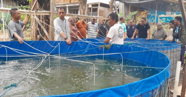 Kunjungi Pembudidaya Ikan, Pj Wali Kota Parepare Akbar Ali Apresiasi Kreativitas Warga Manfaatkan Lahan Kosong