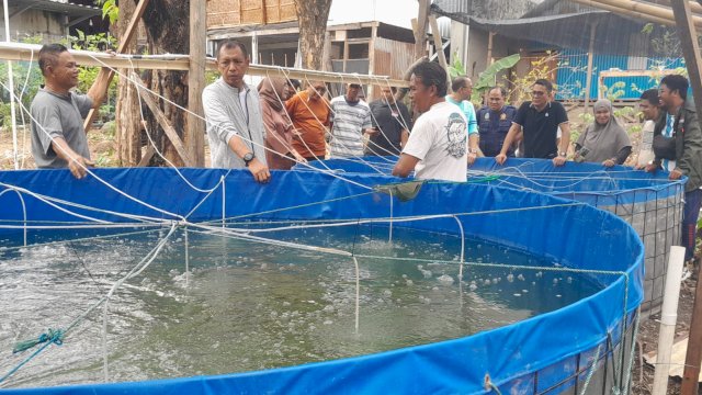 Ket : Pj Wali Kota Parepare, Akbar Ali saat mengunjungi pembudidaya ikan air tawar (istimewa)