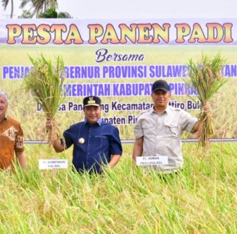 Petani Pinrang Pesta Panen Padi di Musim Kemarau, Pj Gubernur Optimistis Surplus 2 Juta Ton Tercapai