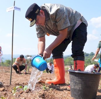 Pj Gubernur Bahtiar Ajarkan Para Petani Enrekang Cara Kembangkan Bibit Pisang