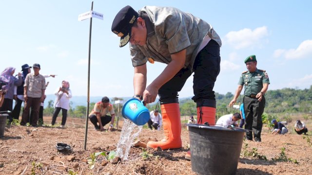 Pj Gubernur Sulsel Bahtiar Baharuddin, melakukan penana bibit pisan di Desa Ongko, Kabupaten Enrekang. (Istimewa)