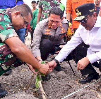 Pemkab Sidrap Siapkan 1500 Hektar Lahan untuk Budidaya Pisang