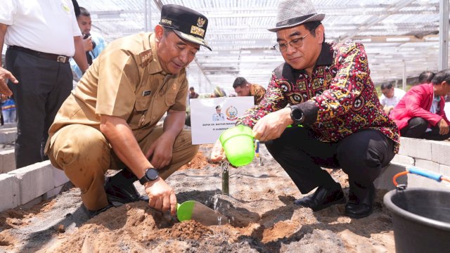 Pj Gubernur Sulsel Bahtiar Baharuddin, bersama Rektor Unhas Prof. Jamaluddin Jompa, dan Ketua Forum CSR Sulsel Latunreng, melakukan Launching Berjuta Bibit Pisang Cavendish, Kamis (16/11/2023). (Istimewa)